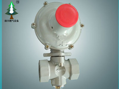 家用天然氣使用常識(shí)&燃?xì)獍踩氈? />
</a>
<span><a href=