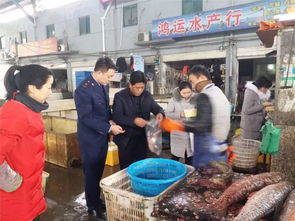 開發區分局配合承檢單位開展食品監督抽檢 嚴把食用農產品批發源頭關
